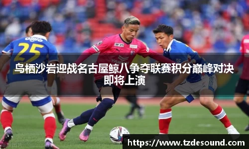 鸟栖沙岩迎战名古屋鲸八争夺联赛积分巅峰对决即将上演